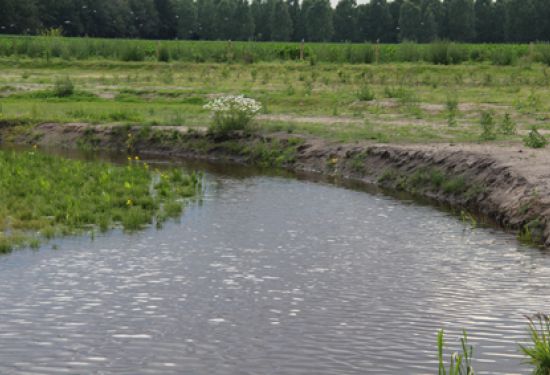 poëzie over beekherstel