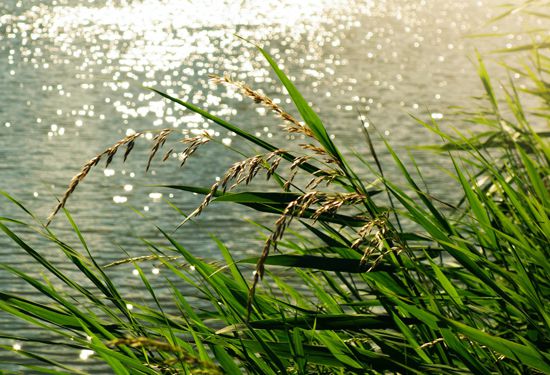 lekker leesbaar milieu- en waterplan