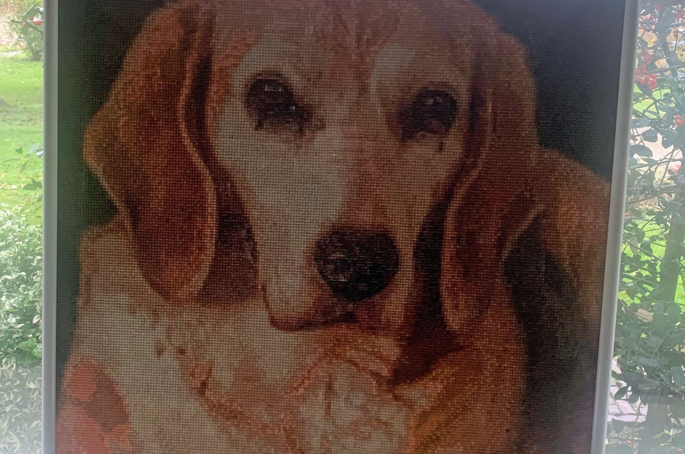 Babs tot leven gebracht