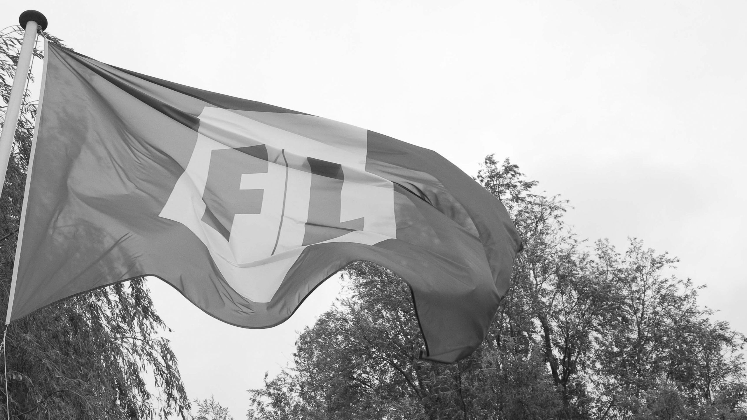 De vlag uit voor TT en BVL