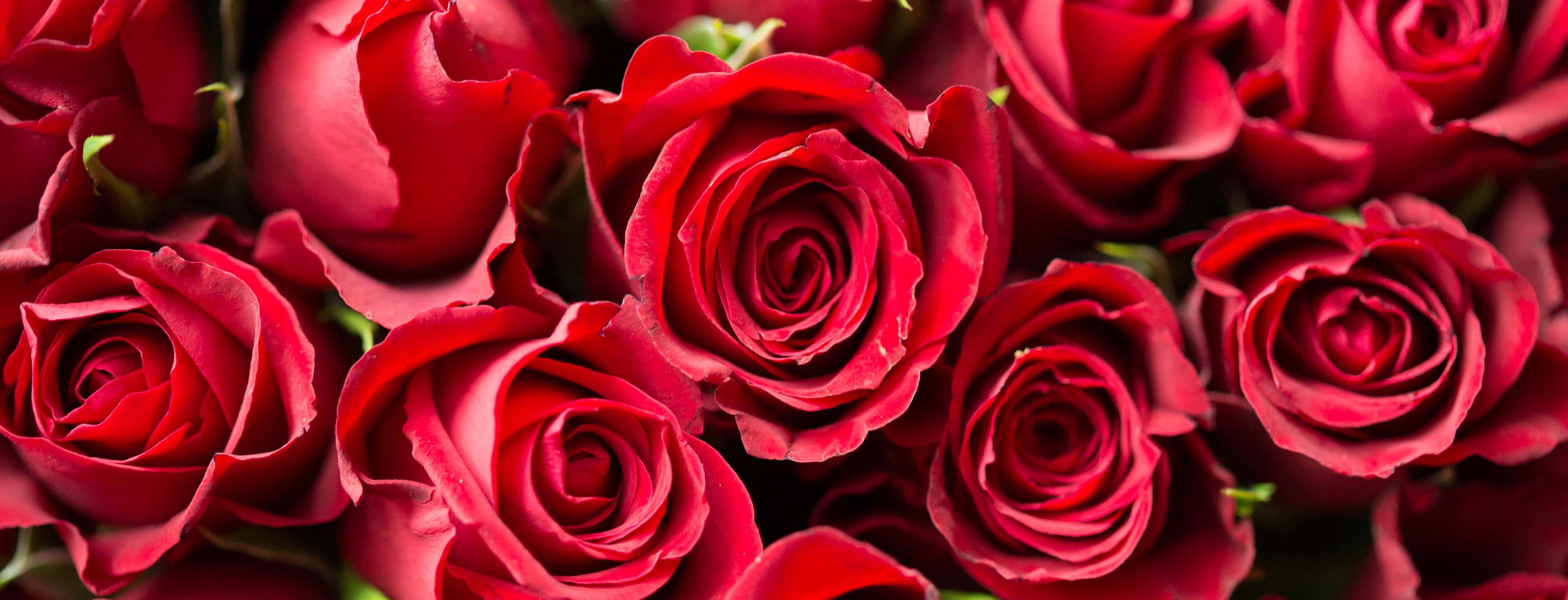 Felicitaties voor Janine en Brigitte