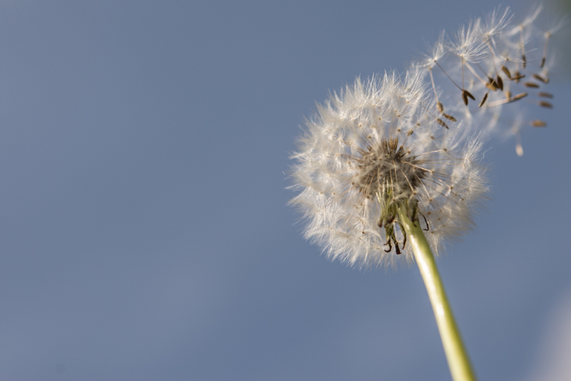 Voorjaarswind met veel informatie